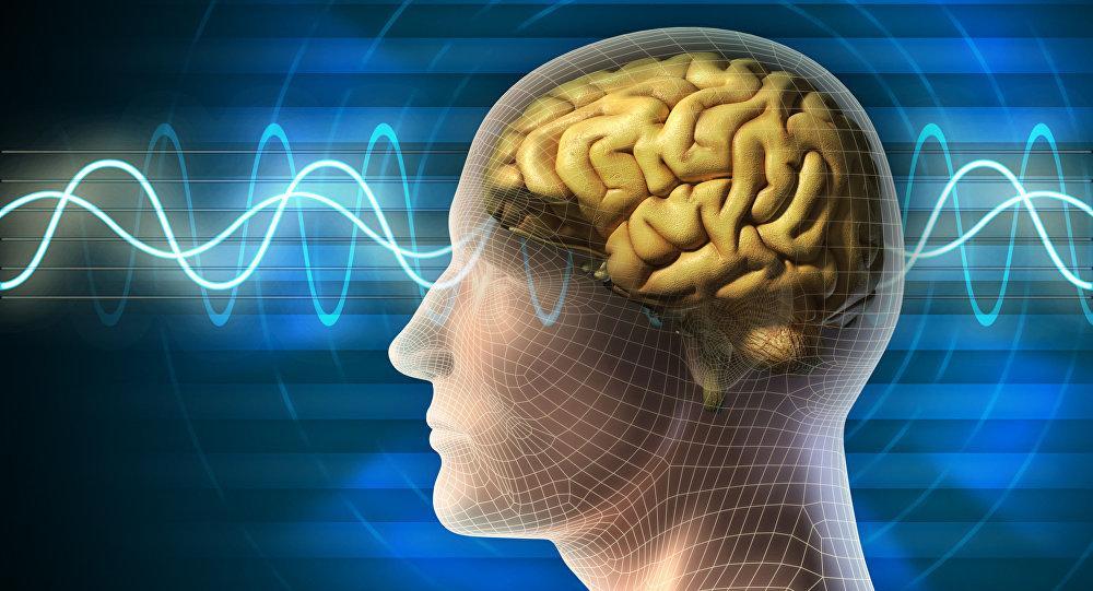 مغز برنامه نویسان چگونه کار می کند؟ مغز برنامه نویسان چگونه کار می کند؟