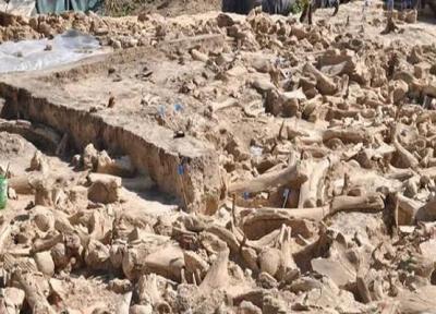 7 یافته مهم باستان شناسی در یک سال اخیر