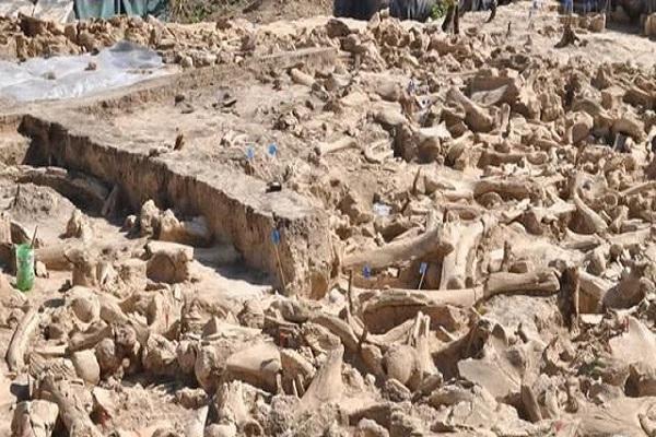 7 یافته مهم باستان شناسی در یک سال اخیر ( تصاویر) 7 یافته مهم باستان شناسی در یک سال اخیر