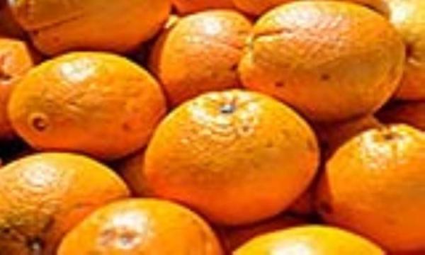حقایق تغذیه ای پرتقال نافی حقایق تغذیه ای پرتقال نافی