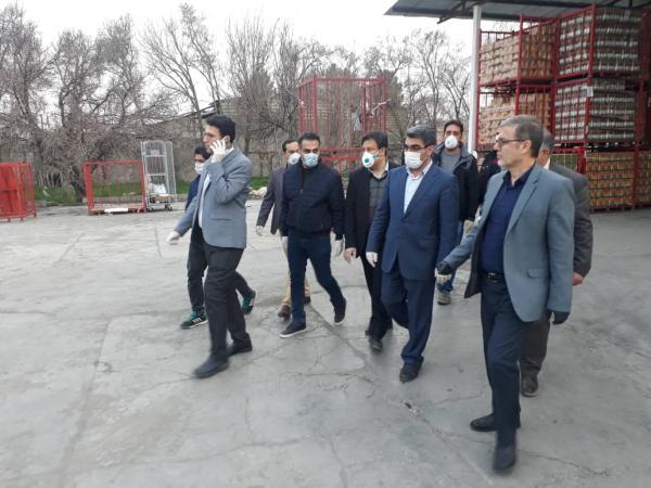فروش اینترنتی خبرنگاران در کرمانشاه شروع شد