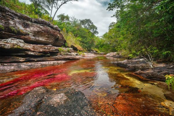 زیباترین رودخانه جهان، کانیو کریستالس در کلمبیا