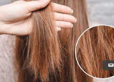 چگونه موهای آسیب دیده را ترمیم کنیم؟