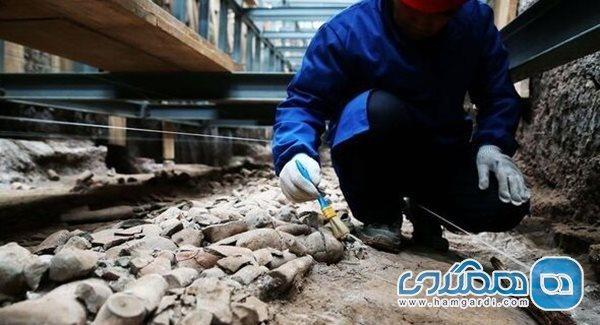 کشف بقایای 2200 ساله تاپیر و پاندای غول پیکر در نزدیکی مقبره کشف بقایای 2200 ساله تاپیر و پاندای غول پیکر در نزدیکی مقبره امپراتور چین