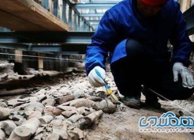 کشف بقایای 2200 ساله تاپیر و پاندای غول پیکر در نزدیکی مقبره امپراتور چین
